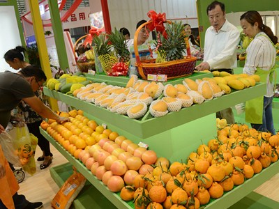 China to expand high- and medium-end imports