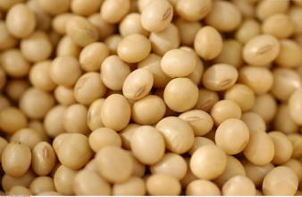 CBOT soybeans slide as China lowers import estimates