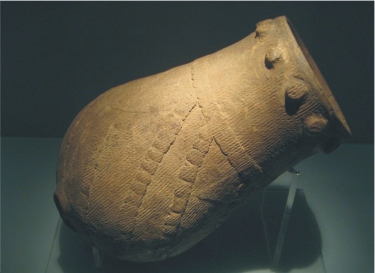 Pottery sets at Taosi site. 