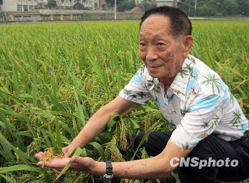 Chinese agricultural scientist Yuan Longping. (CNS File Photo)