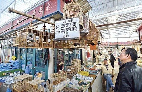 Empty cages are left in Shanghai's Wanshang Flower and Bird Market. Shanghai has halted live bird sales amid bird flu scare. (Photo/ Ming Pao Daily News) 