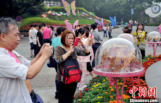 The Butterfly Cultural Festival opens in Baiyun Mountain of Guangzhou, Guangdong province, on April 25. (CNS photo/Liu Weiyong)