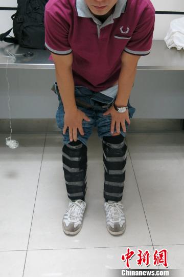 A smuggler shows the smartphones attached to his legs. Shenzhen Customs detained five smugglers from Hong Kong on Tuesday and seized 330 smuggled cellphones worth one million yuan (US$163,370).(CNS photo)