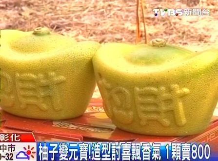 The ingot-shaped pomelos. (Photo source: screenshot from TVBS)
