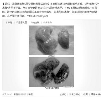 The report provided shocking photo comparisons of the blackened and normal lungs.