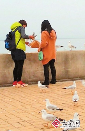 Photos taken by a citizen on Monday show two women covertly taking a gull away. 