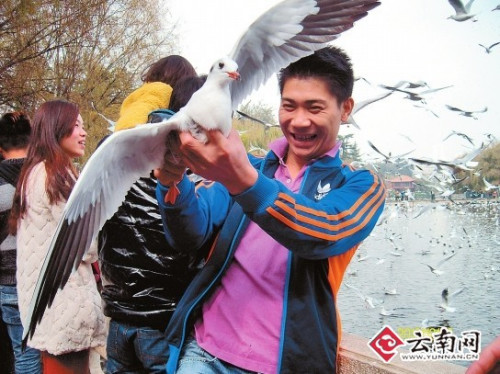 Photo shows a man grabbing a gull violently with his hand on Monday.