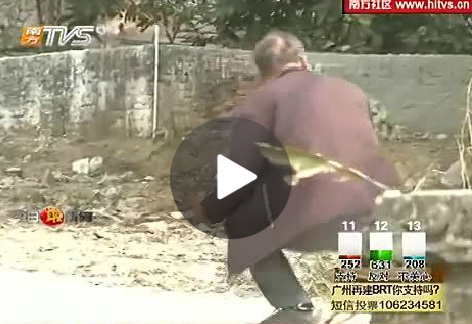 Screenshot of the program.