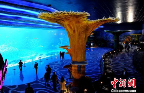 Photo taken on Jan 28, 2014 shows the world's biggest aquarium in Chimelong Ocean Kingdom. [Photo: Liu Weiyong]