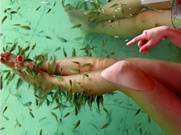 This file photo shows people are enjoying fish spa. (Photo source: cnnb.com.cn)