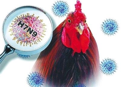 (Photo source: Sina.com.cn )