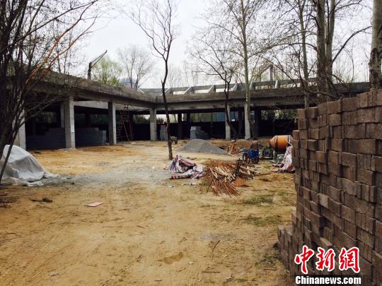 Photo shows a new house is being buit for the other panda. 