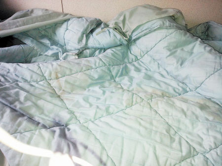 Photo taken by a citizen surnamed Wang shows filthy blanket on sleeper train.