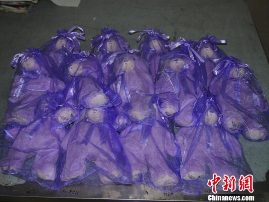 Lavender bears from Australia.[Photo: Chinanews.com / Mao wei]