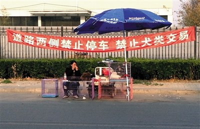 Dealers are seen selling dogs by a road in Beijing. [Photo / The Beijing News]