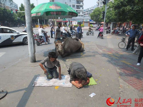 Two men on Thursday were seen panhandling alongside a mutilated camel on a sidewalk near Daping road in Fuzhou, Fujian province. (Photo source: people.cn)