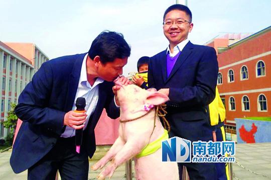 A primary school principal in Xianning, Hubei province, kissed a piglet after losing a bet with his students over whether the children can get lose the habit of littering on the road outside the school. (Photo source: Southern Metropolis Daily)