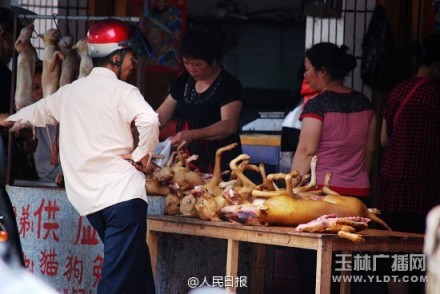The undated photo shows a client before a dog meat stall in Yulin, Guangxi. [Photo: yldt.com]