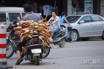The undated photo shows several slaughtered dog piled on the back seat of a motorcycle. in Yulin, Guangxi. [Photo: yldt.com]