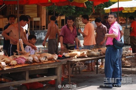 The undated photo shows a client before a dog meat stall in Yulin, Guangxi. [Photo: yldt.com]
