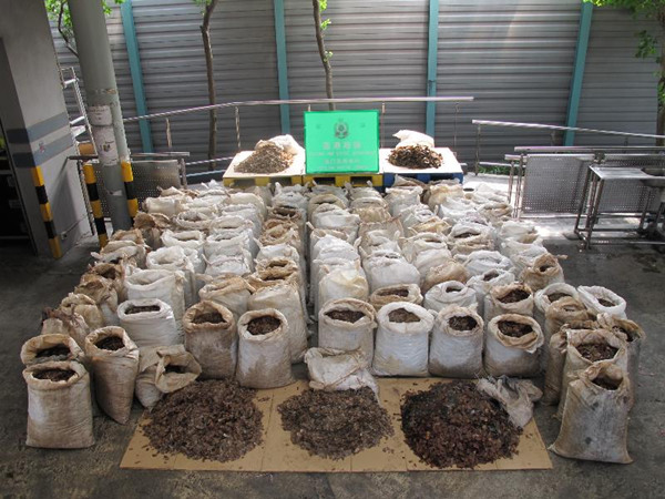Some of the 3.3 tons of pangolin scales seized. [Photo/Hong Kong Customs and Excise Department]