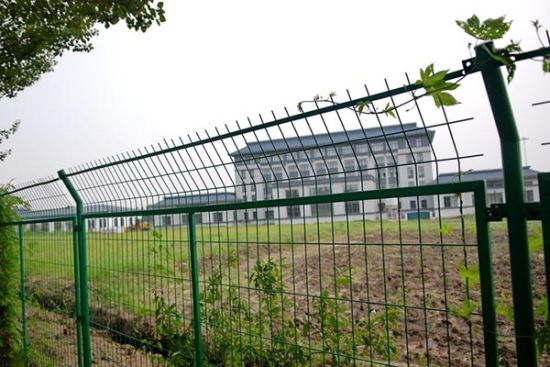 The farmland requistioned from local villagers is fenced off. (Photo: the Paper)
