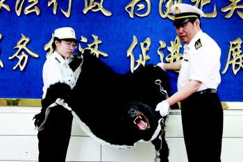 The black bear skin, with head and limbs still attached. [Photo: Qilu Evening News]