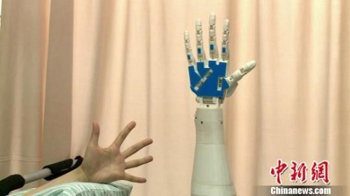 The same gesture of human's hand and mechanical arm. [Photo: Shao Siyi]