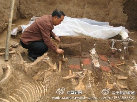 Photo shows the excavation site. [Photo: cnwest.com]