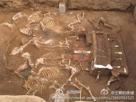 Photo of relics shows a carriage pulled by six horses. [Photo: cnwest.com]