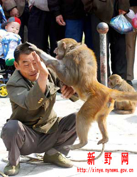 File photo shows the monkey busking trick in Xinye county.[Photo: xinye.01ny.cn]