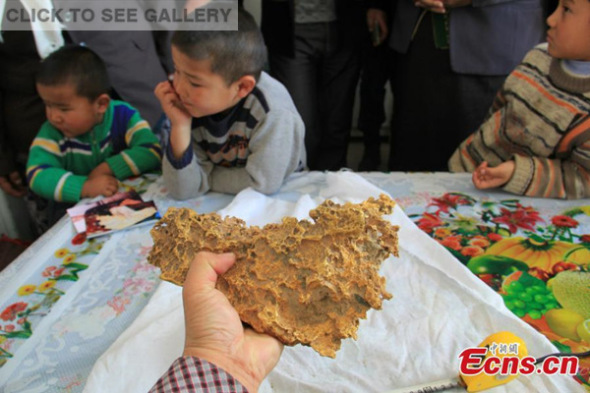 A herder shows a gold nugget in his house in Qinghe county, Northwest China's Xinjiang Uygur autonomous region, Feb 5, 2015. [Photo: China News Service/ Zhu Xinfeng]
