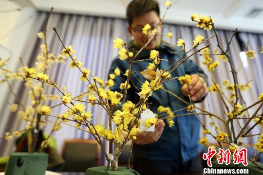 A visitor appreciates flowers at Sun Yat-sen Mausoleum in Nanjing. (Photo: Chinanews.com)