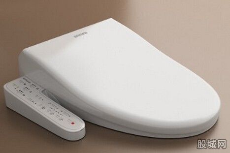 A Luxury Japanese toilet lids that Chinese tourists swarmed to buy in Japan during the Spring Festival. (Photo/www.dbw.cn)