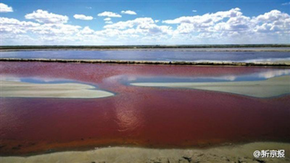 Pollution has turned a soda lake red in a pasturing area of Ordos, North China's Inner Mongolia Autonomous Region. [Photo/ Weibo account of The Beijing News] 