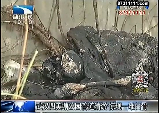 Screenshot from a TV shows bones discovered in a drainpipe in Wuhan, Hubei province. (Photo/Wuhan Evening News)