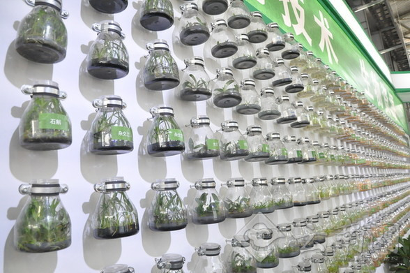 Bottles containing genetic resources are seen at the Academy of Agricultural Science in Yunnan province. China will enhance its protection of high-quality germplasm resources, according to a draft amendment of the Seed Law. (File photo/yunnan.cn)