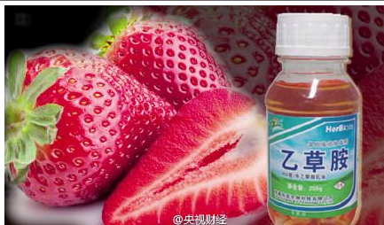 Carcinogenic pesticide residues were detected in eight strawberry samples randomly bought at Beijing markets and tested at Beijing University of Agriculture. (Photo/CCTV)