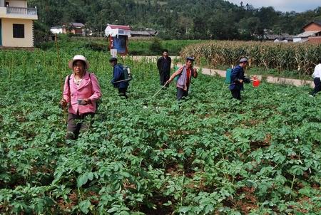 Farmers spray pesticides in a field. The Chinese government has set new guidelines on the maximum safe residue of 56 types of pesticides used for agricultural produce. (File photo)