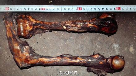 Panda bones. Police in southwest China's Yunnan province have detained 10 suspects involved in killing a giant panda and selling its meat. (Photo/Screenshot from CCTV)