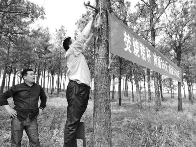 Countryside cadres hang a slogan banner onto trees beside a road in Henan province. (Photo/www.dahe.cn)