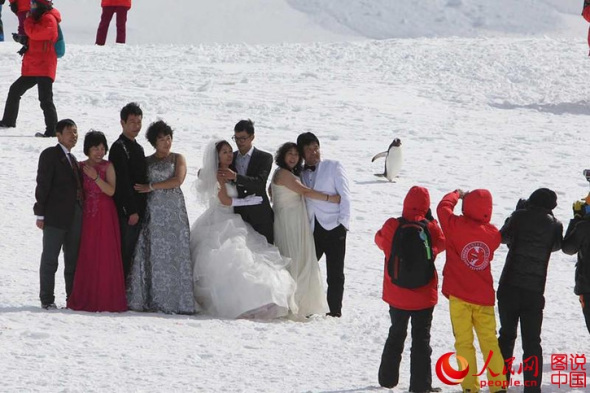 Chinese tourists shoot wedding photos in Antarctica. (File photo/people.cn)