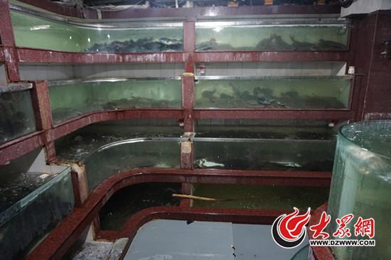Turbot fish contaminated with banned drug seized at a seafood market in Jinan, Shandong provice. (Photo provided by local police)