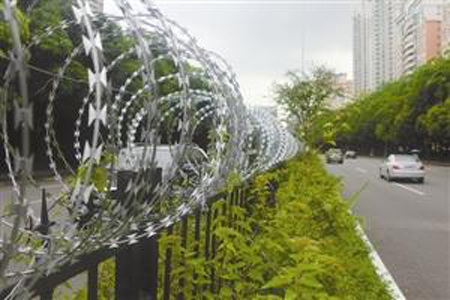 A barbed wire fence has been erected down the middle of a road in Shenzhen in a radical measure to stop pedestrians illegally crossing the road. (Photo/Daily Sunshine)