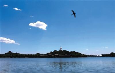 Blue sky is back to Beijing on Aug. 18, 2015. (Photo/Beijing News)