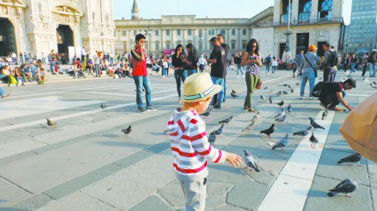 A kid feeds pigeons at a square in Italy. (Photo: people.com.cn)