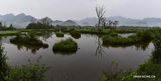 Photo taken on July 13, 2015 shows a view of the Dajiuhu National Wetland Park in Shennongjia in central China's Hubei Province. The Dajiuhu wetlands, made up of nine lakes, is the largest wetlands in area with highest altitude in central China. (Photo: Xinhua/Du Huaju)