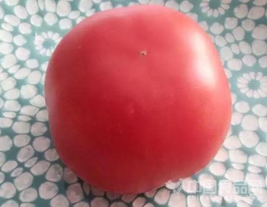 After 79 days, the tomato looks as fresh as the day it was bought. (Photo/Chinafood365.com)