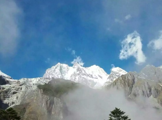 The natural wonder resembles the shape of a wolf on Hailugou Valley, Sichuan province. (Photo/scol.com.cn)