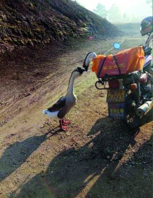 The picture that made the rounds on the Chinese social media site Weibo (Photo/the Modern Express)